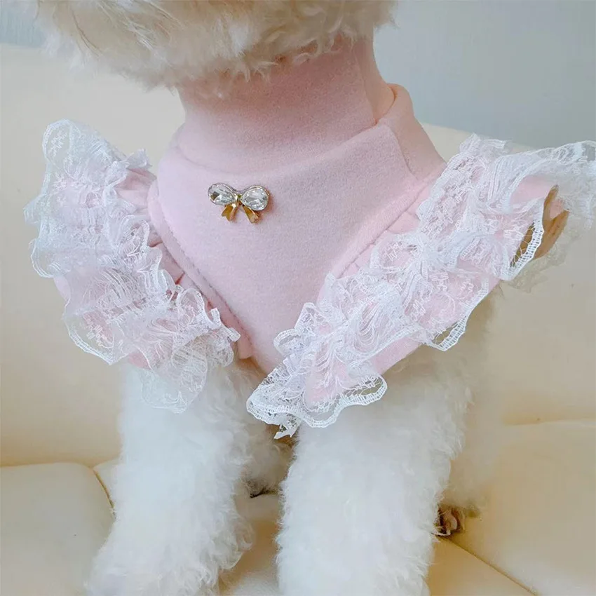 Lace Teddy Lingerie - Odzież dla zwierząt Jesienno-zimowa koszula bazowa